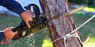 Best Soil Testing and Treatment  in South Patrick Shores, FL